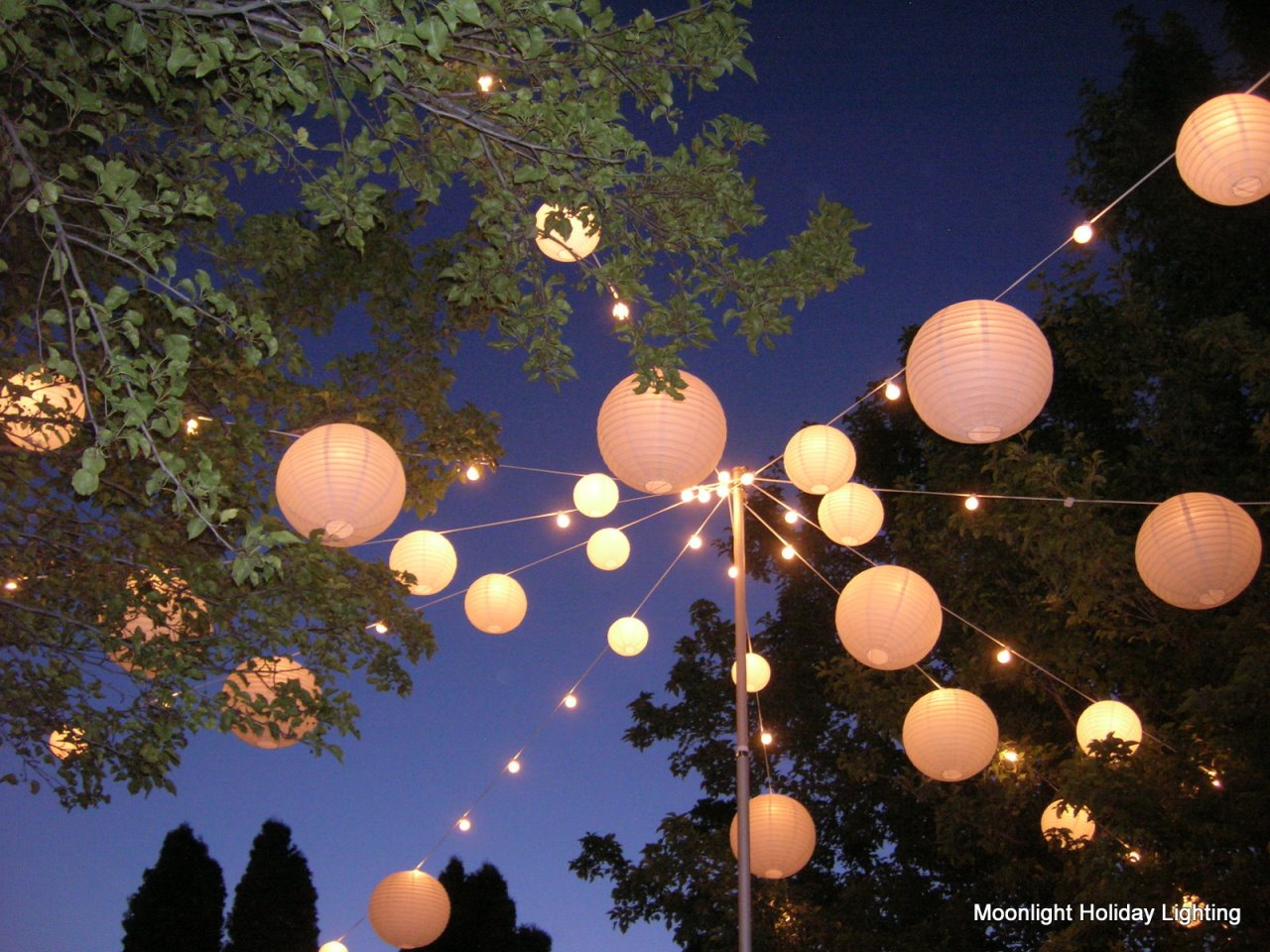 Moon-Light-wedding-lighting-Wadley-Farms